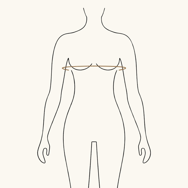 Chest/Bust